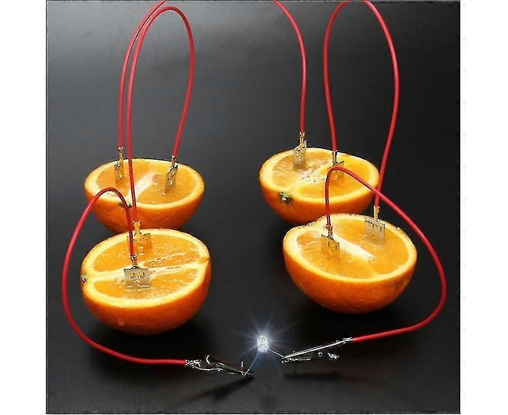 Fruit Battery Light Diode Generator Science Experiment Kit Student Education Toy