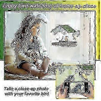 Window Cups Bird Window Feeder With Removable Bird Feeder With Strong Suction