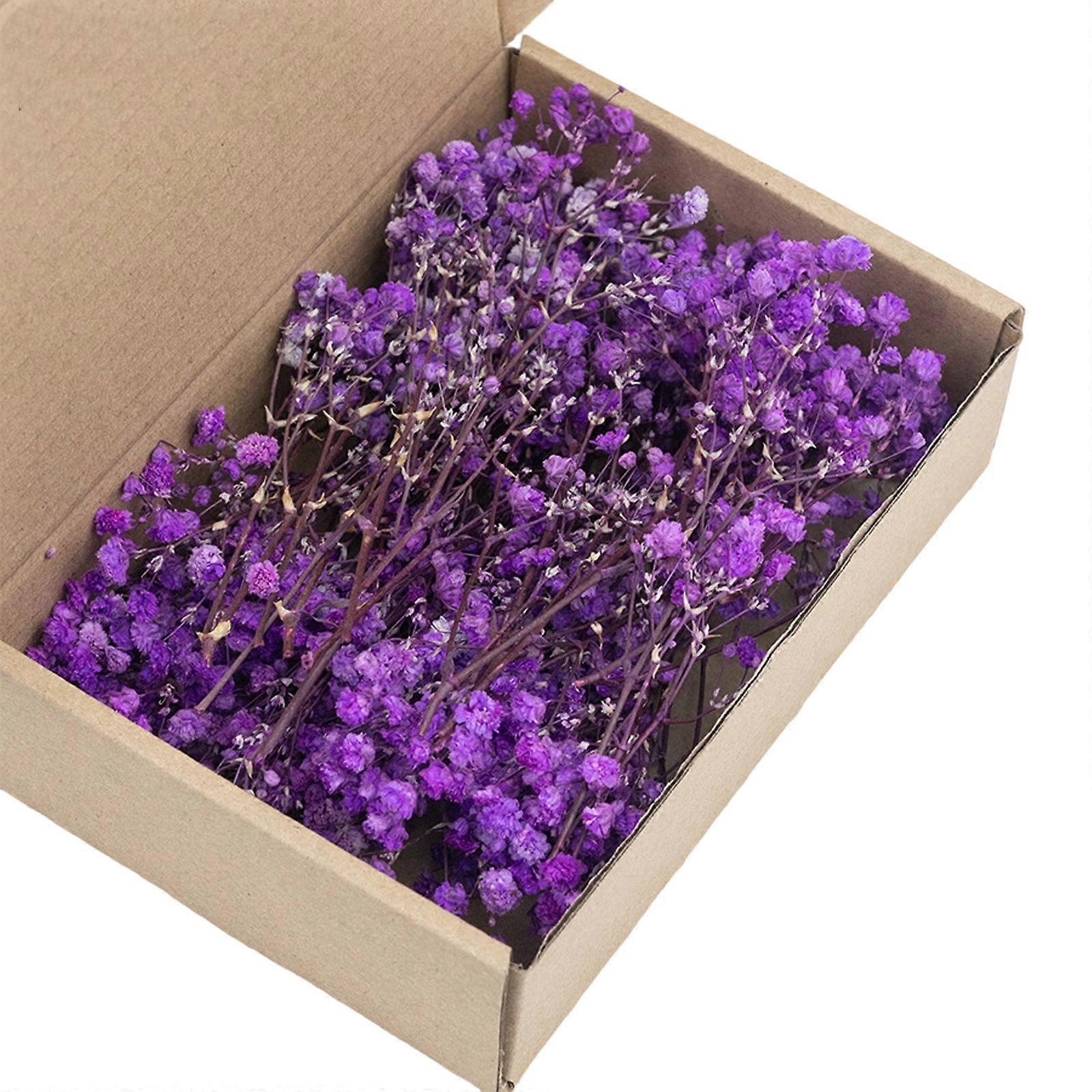 Set Of 50 Realistic Dried Baby’s Breath Flower For Crafting Wreaths Centerpieces And Decorative Displays Multicolor