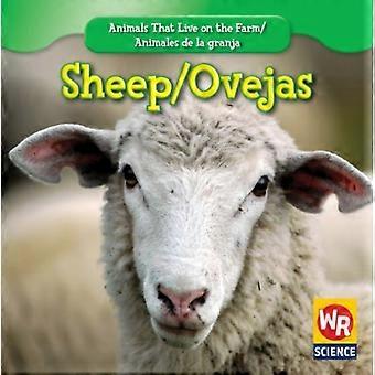 Schapen / Ovejas