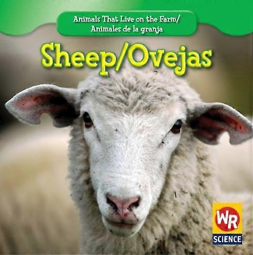 Moutons / Ovejas