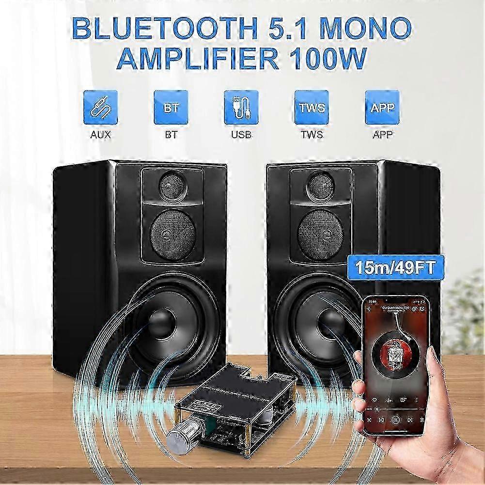 2Pack 1001B Bluetooth Mono AMP Board, 100W Audio Power Amplifier Module