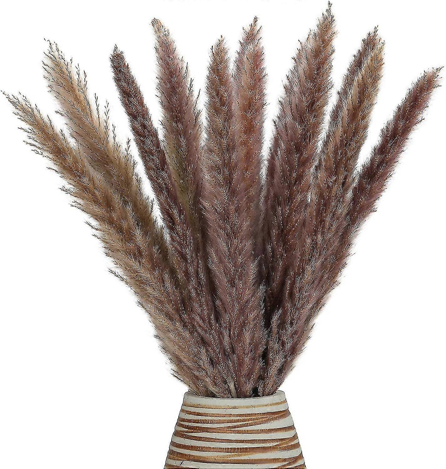 Dried Pampas Grass Small Artificial 30 Stems White