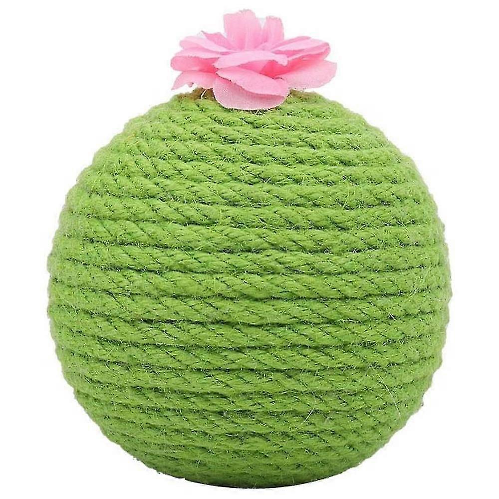 CactusCatching The Ball Sports Kitten Toy Interactive Toy BallAnd Kitten