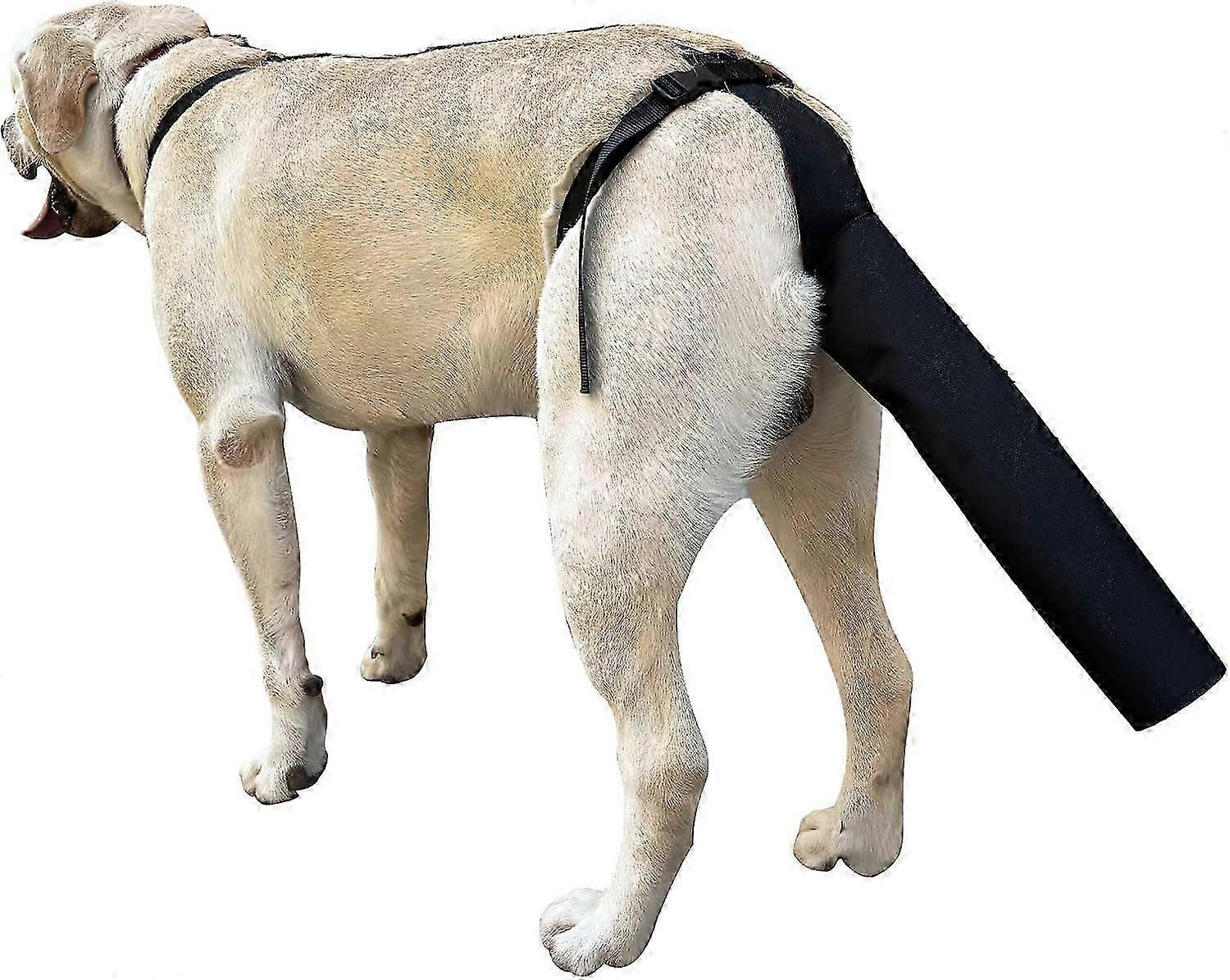 2Pcs protecteur de queue de chien, garde de queue de chien couverture de queue de chien pour blessures chien noir