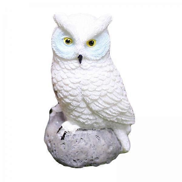 3x Garden Decor Set