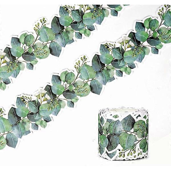 15M Eucalyptus Border Trim Bulletin Board Classroom Border Sticker for Photo Wall Desk Display