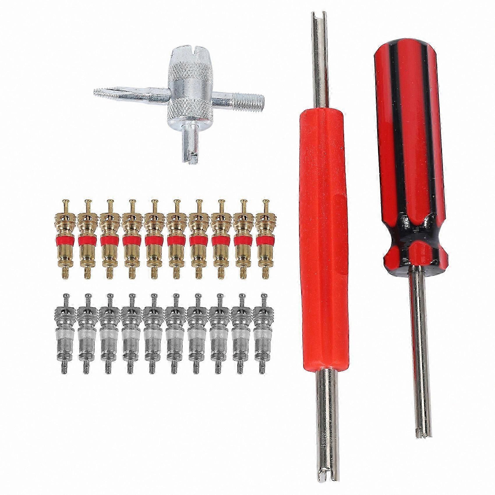 20-Piece Valve Core Kit with 4-Way Tool, Dual Head Remover for Tire Maintenance and Repair