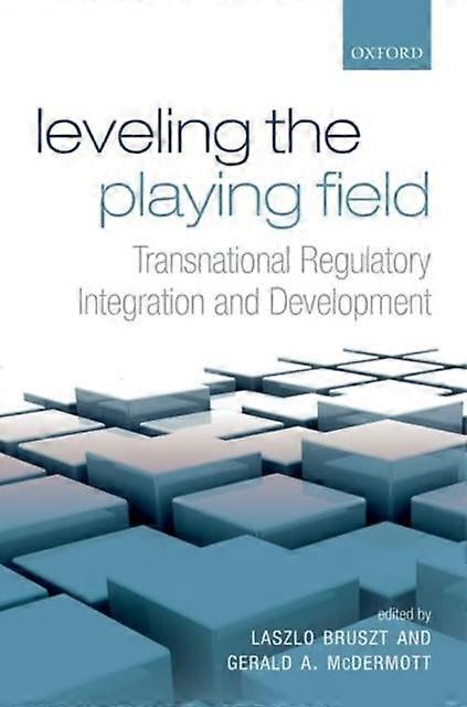 Leveling The Playing Field Paperback