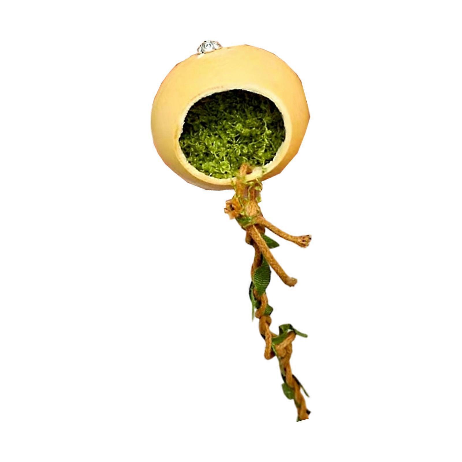 Durable Metal Geckos Shelter With Magnetic Access Compacts Reptiles Hideaways For Jumping Spiders Ventilated Multicolor