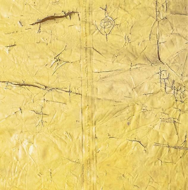 David Hammons by Hauser &amp Wirth Hardback Book