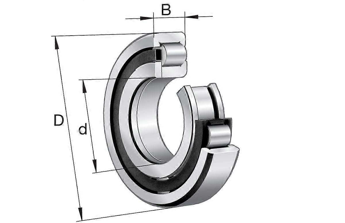 FAG NUP2204-E-TVP2 Single Row Full Complement Cylindrical Roller Bearing