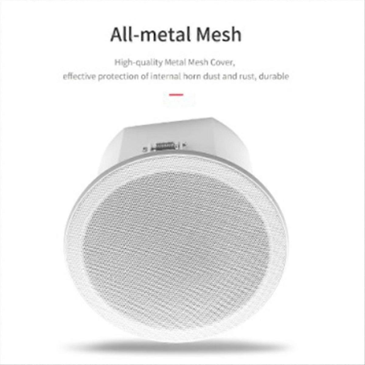 Built-In Amplifier Full Range Bluetoothback Cover(D)