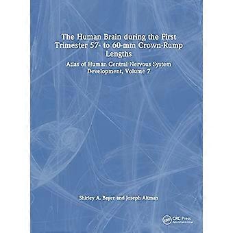 The Human Brain during the First Trimester 57 to 60 mm Crown Rump Lengths Atlas of Human Central Nervous System Development Volume 7