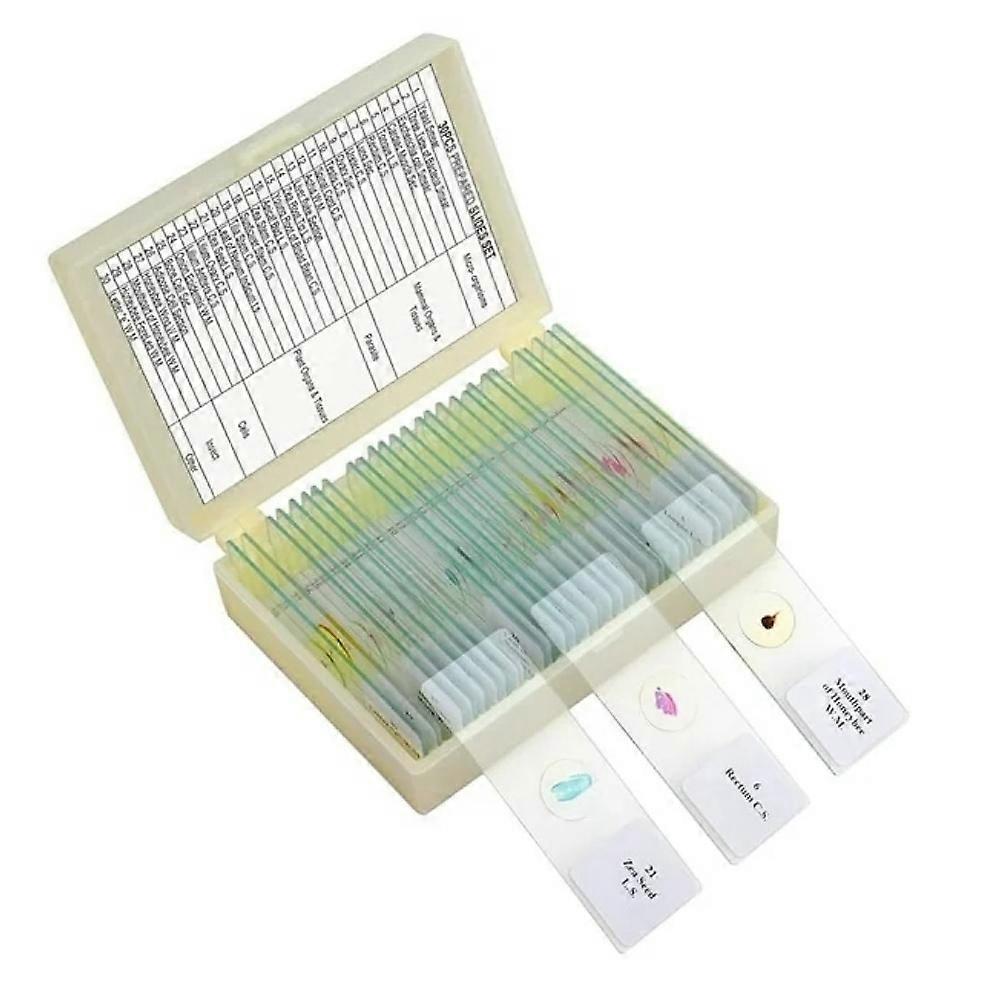 Optical Glass Microscope Slides Labeled Specimens STEM Learning
