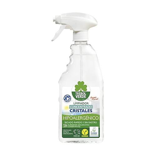 glass cleaner 750 ml