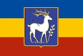 Polyester Hanging 90*135cm Russian Don Cossack Republic Flag