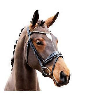 Showtime Palermo Bridle for Horse