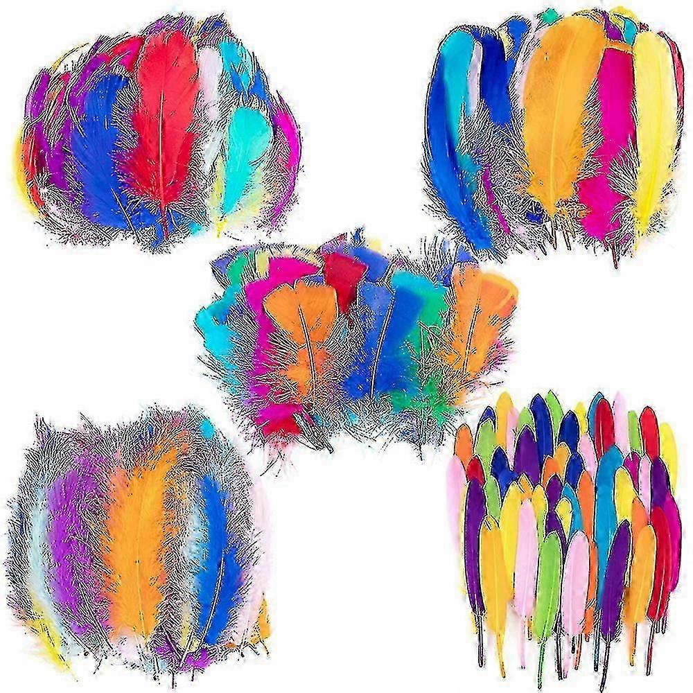 Colorful Feathers,300pcs Feather For Crafts Striking Feathers Tw