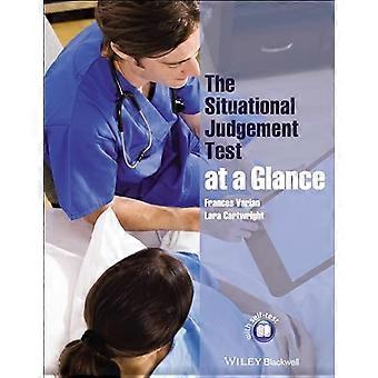 The Situational Judgement Test at a Glance