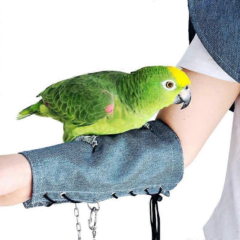 Parrot Anti-scratch Shoulder Protector Shawl Bird Diaper For Parakeets Cockatiels Birds Anklet