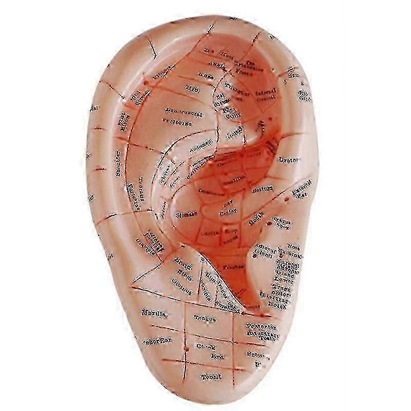 Versión en inglés Ear Acupuncture Earpins Model Modelo Auricular Application Model Ear Acupuncture Poi