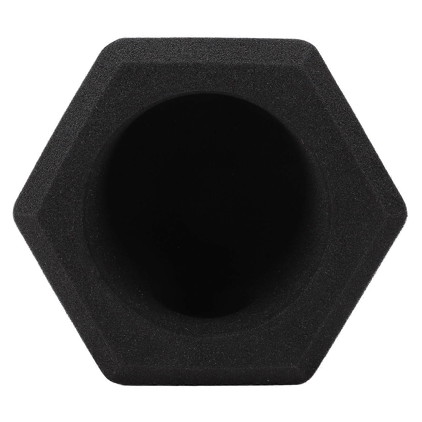 C2 Microphone Sponge Cover High Density Microphone Windscreen Professional Microphone Recording Isolation Booth