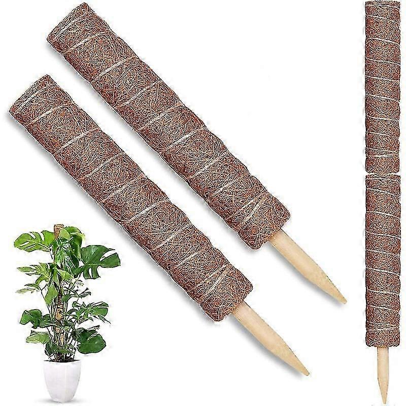 Monstera Plant Kletterhilfe
