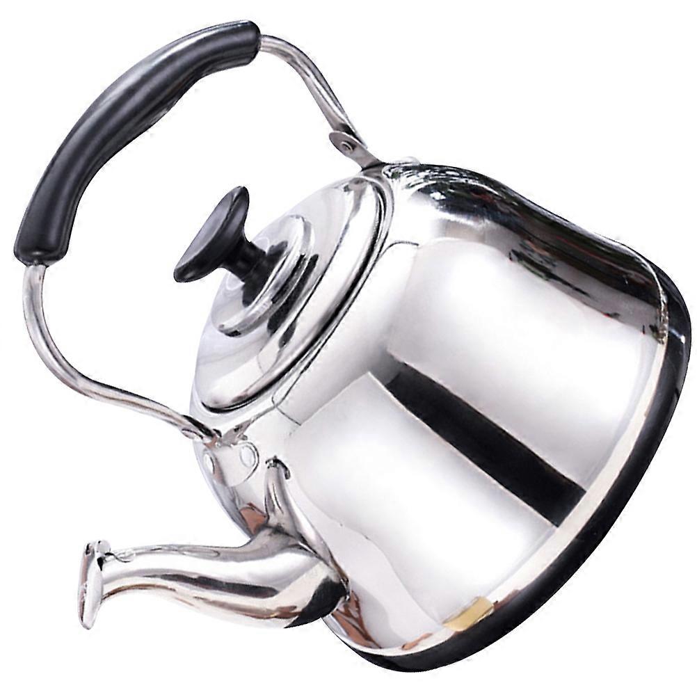 Stainless Steel Kettle 2pcs with Tea Strainer and Thickened Design