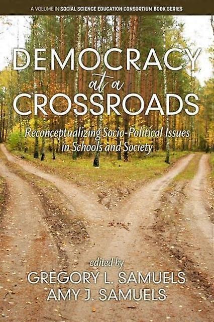 Democracy At A Crossroads Paperback