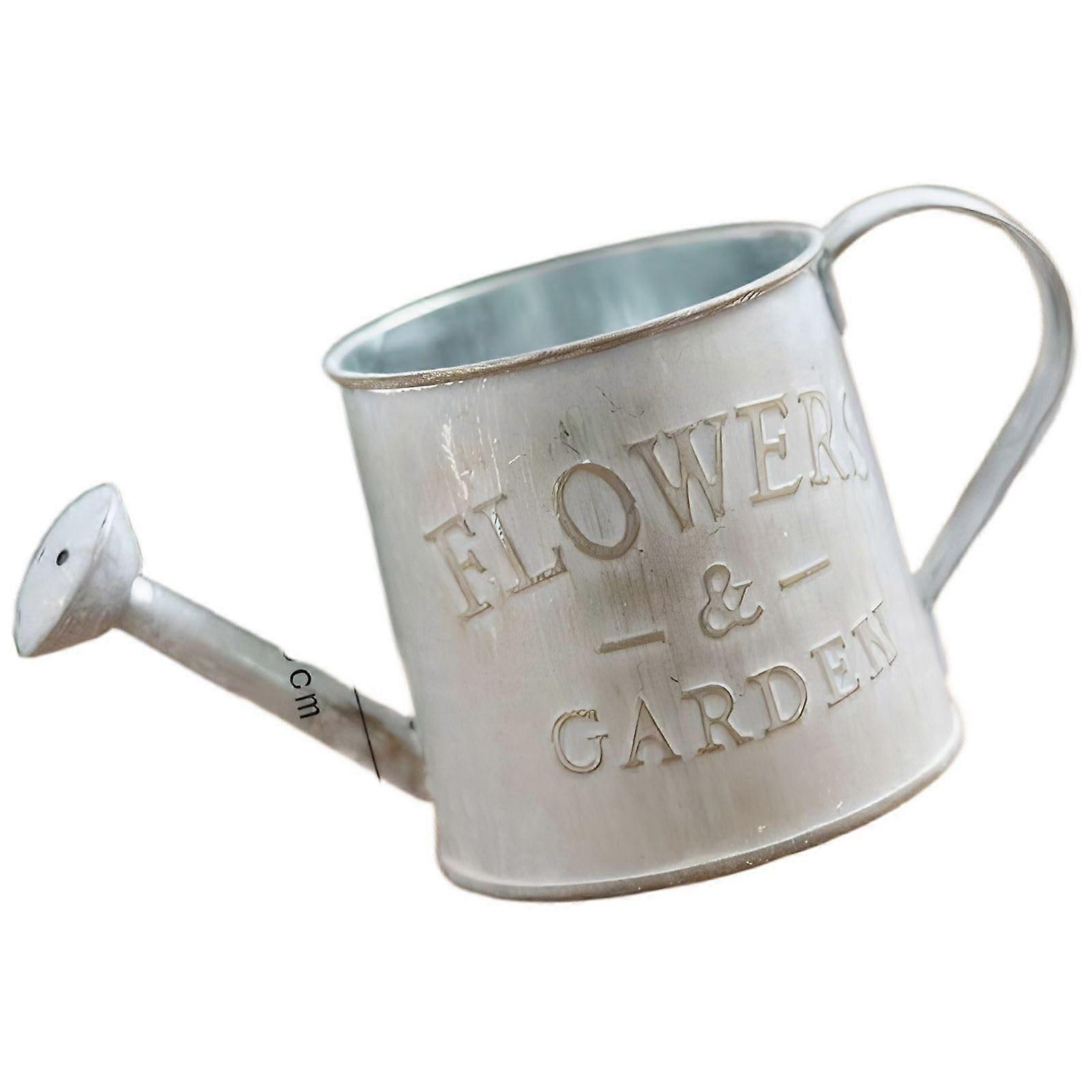 Decorative Watering Can Rustic Farmhouse Style Durable Iron for Home Garden Balcony Display 9x8.5x8 cm