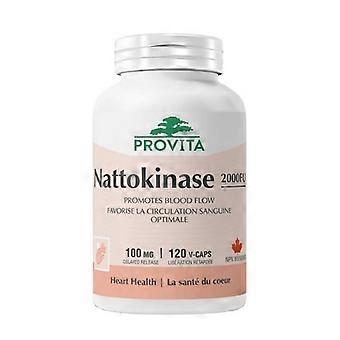 Provita Nattokinase 2000 FU, 120 Veg Caps