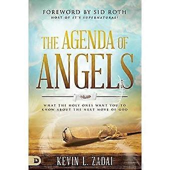 The agenda of angels what the holy ones want you to know about the next move