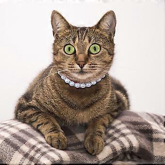 Cat Wedding Collar Pet with Ribbon Pearl Necklaces for Dogs Set Imitation Pearls White