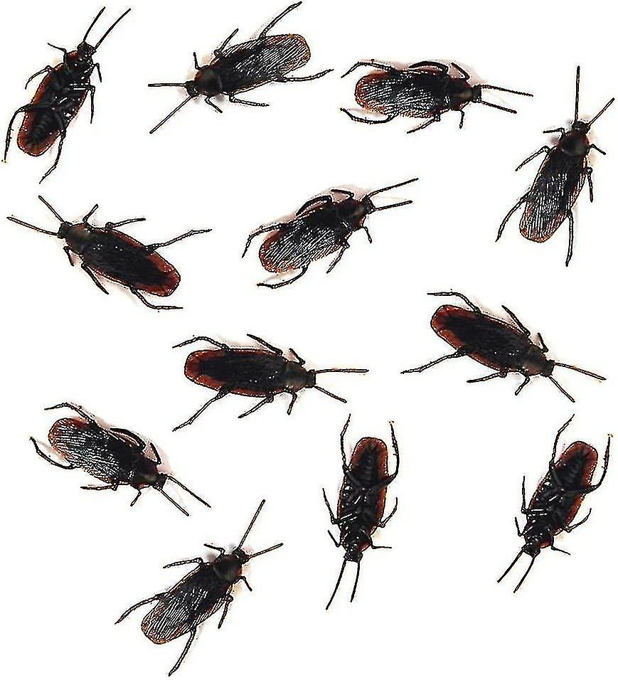 12- Fake Roaches Prank - Cockroach Bugs Look Real Black