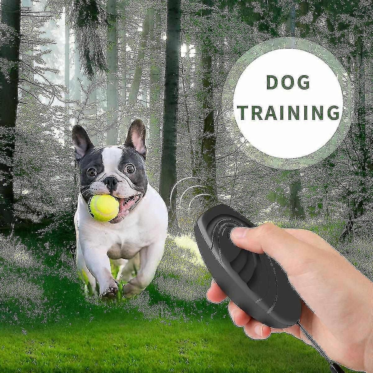New Ultrasonic Dog Repeller Dog Trainer(Grey)