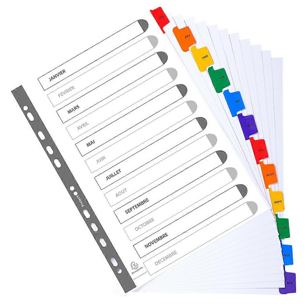 Exacompta 1113E 20x Separa. Mes A4 cart.+pest. color.impr.
