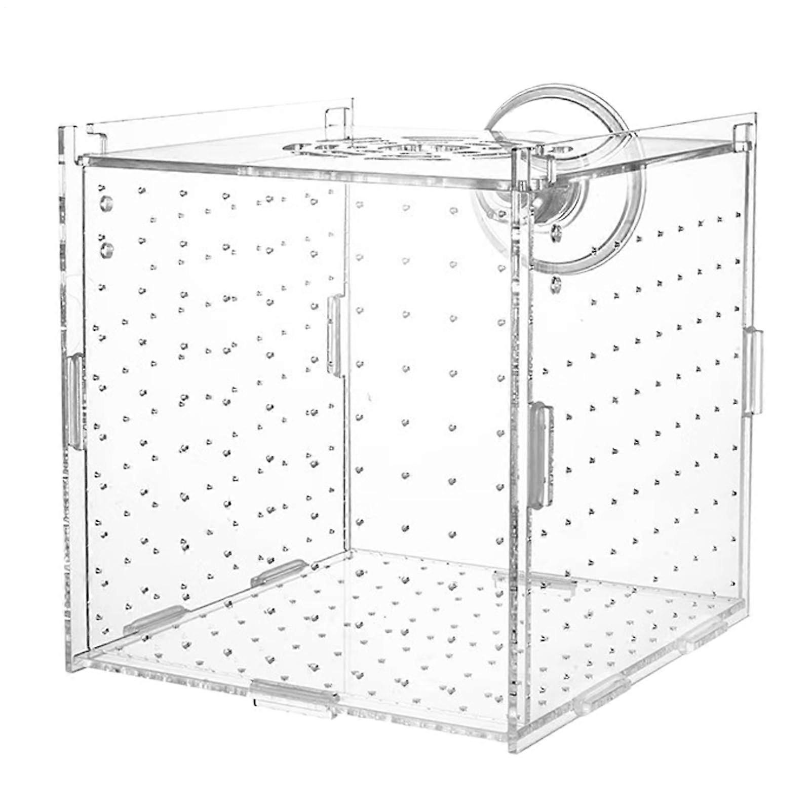 Aquarium Rearing Box For Fish Fry, Clear Acrylic Fry Tank, Suction Cup Mount, Betta Guppy Angelfish Compatible