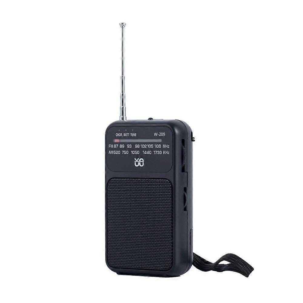 W-209 Mini Portable Dual-mode Powered Pointer FM Radio