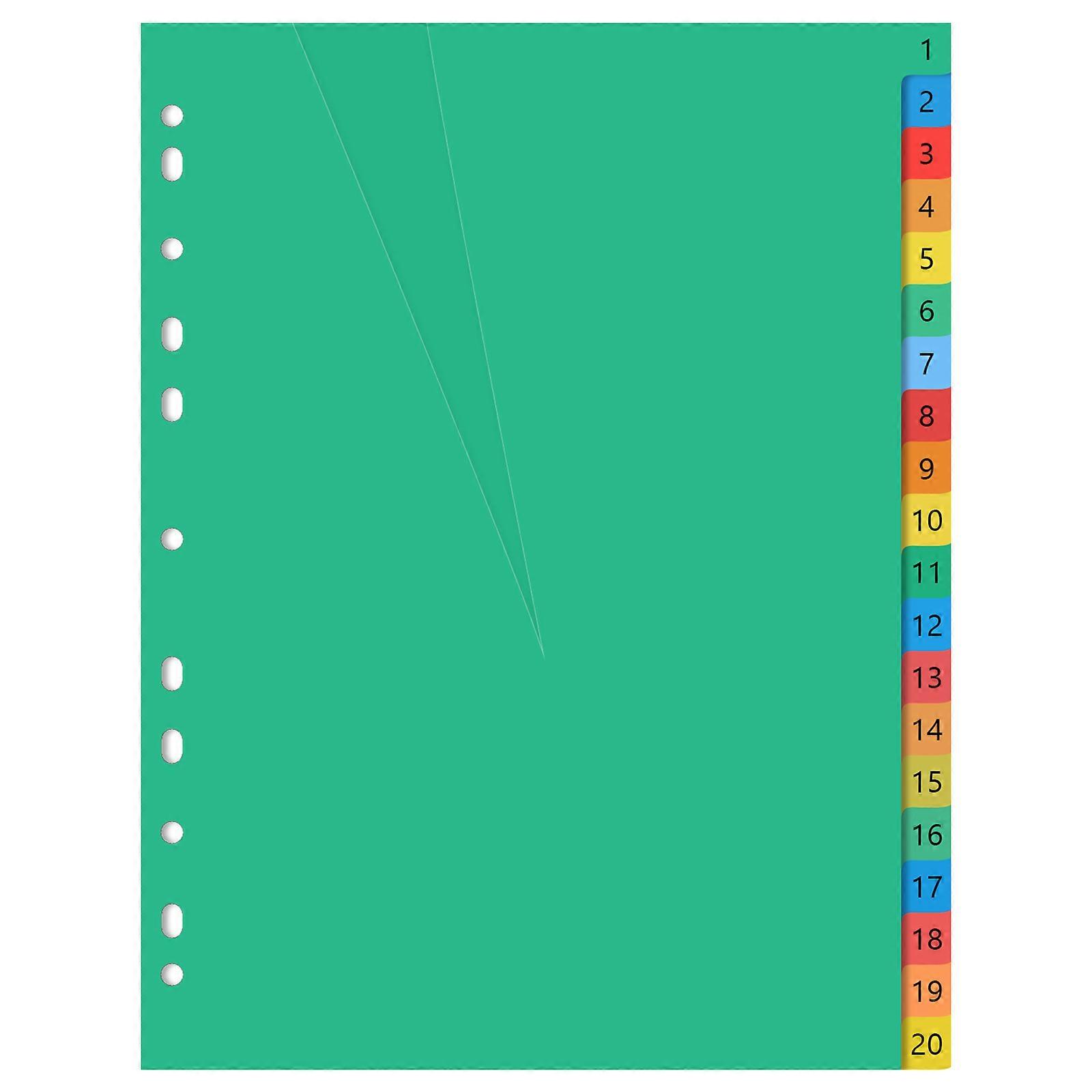 Colorful Plastic Page Dividers for Organizing Documents 20 Pages A