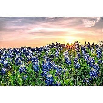 Texas Bluebonnets at Sunset Stress Reliever Jigsaw Puzzle SC348