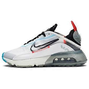Nike Air Max 2090 Pure Platinum dames CT7698-100
