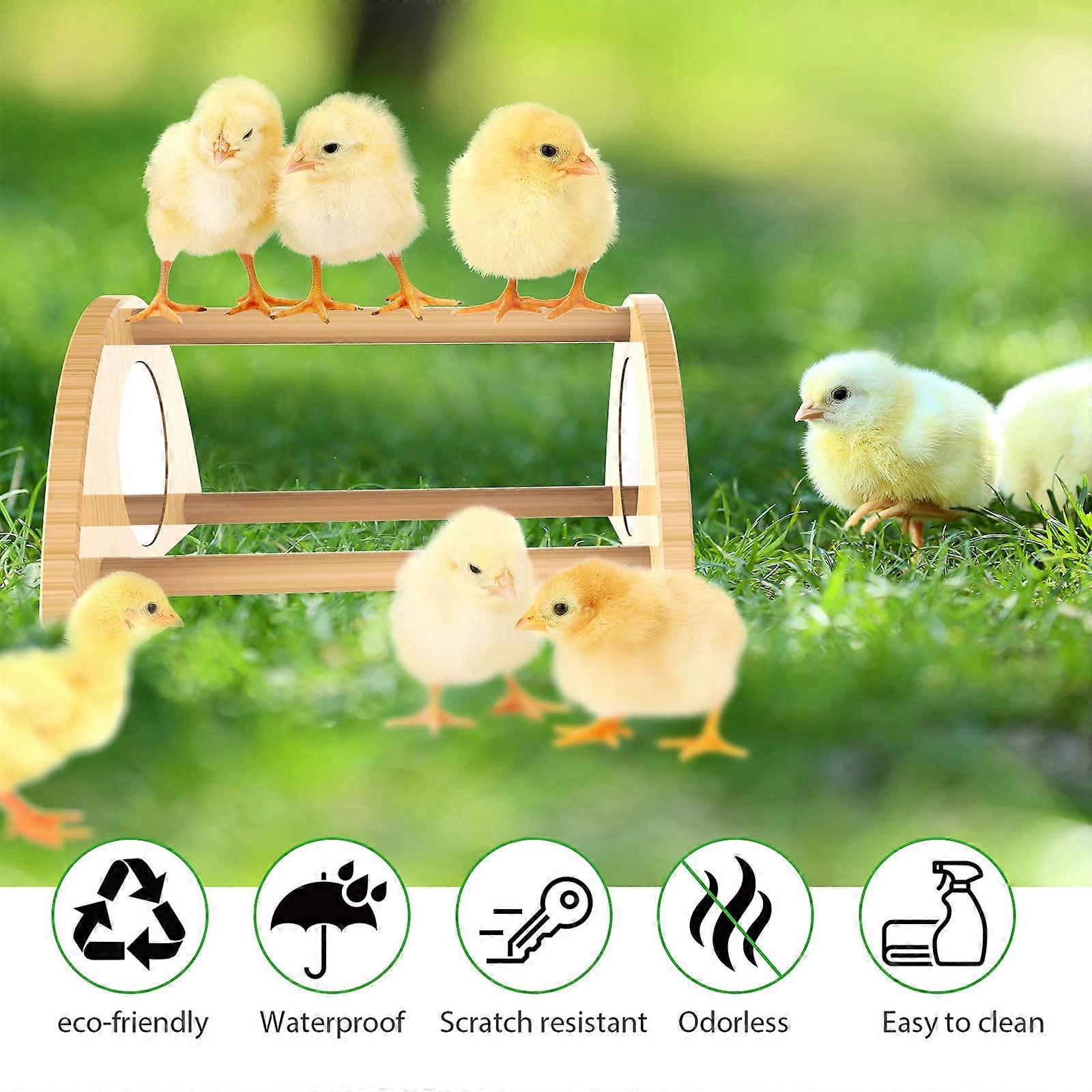 Durable Roosting Bar with Mirror for Chicken Training