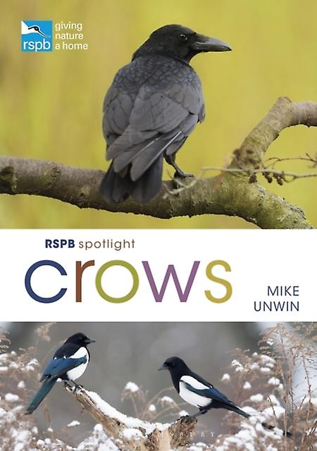Rspb Spotlight Crows by Mike Unwin Paperback