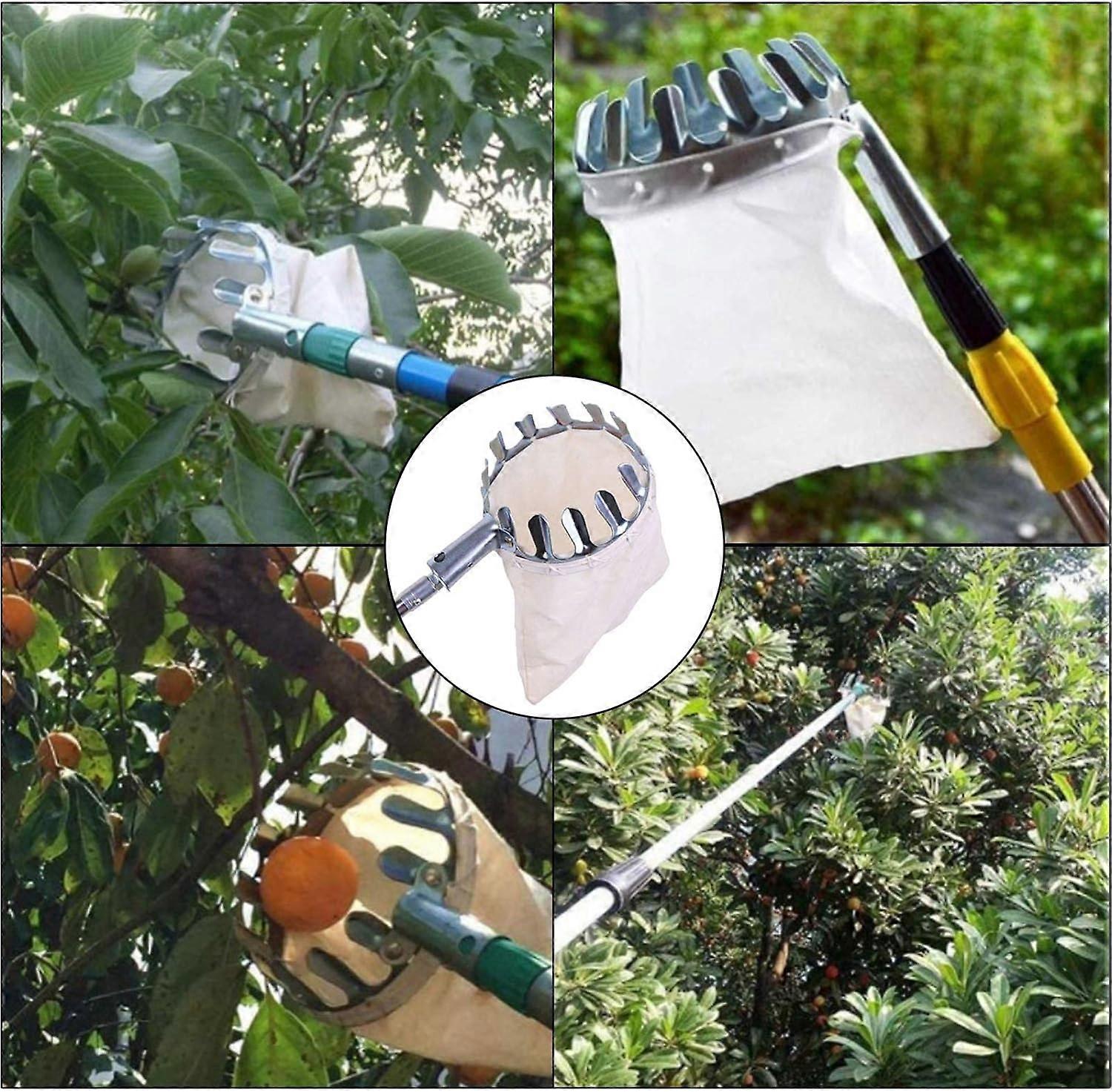 Steel Fruit Picker Fruit Picking Tools Fruit Picker(1pc)