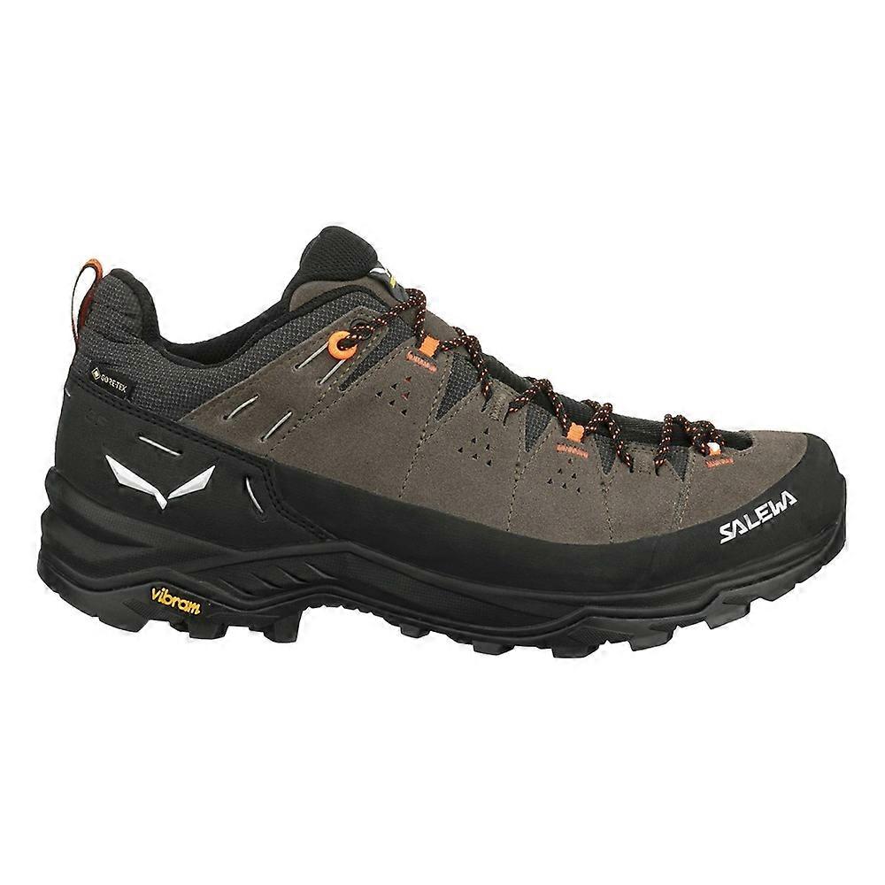 Shoes Salewa Alp Trainer 2 Gtx 614007953