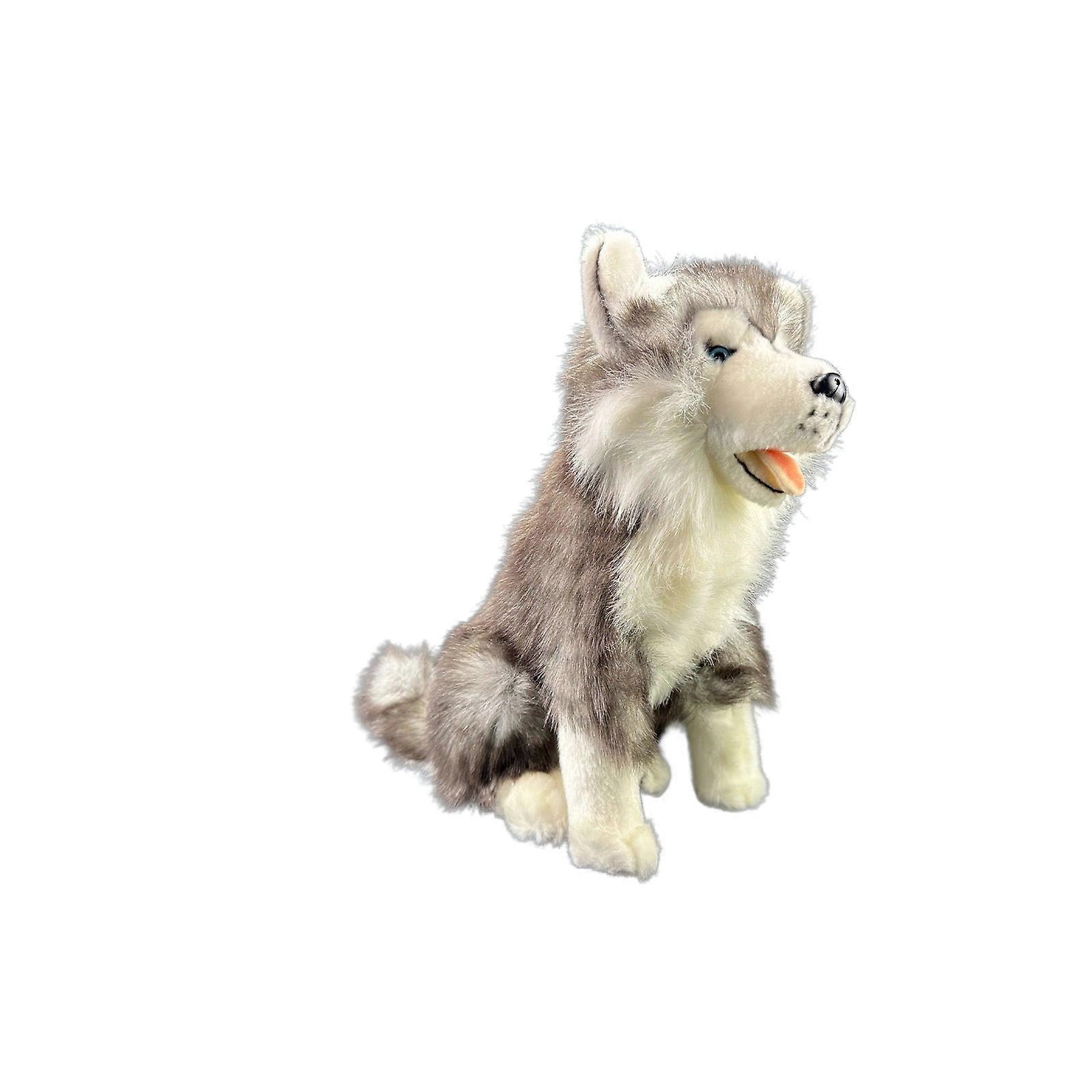 Brock Husky - 35cm Sitting