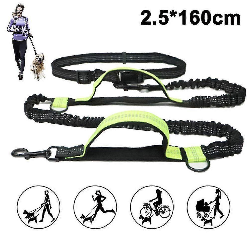 Jogging Dog Leash, Upgrade Hands-free Dog Leash With Two Bungees