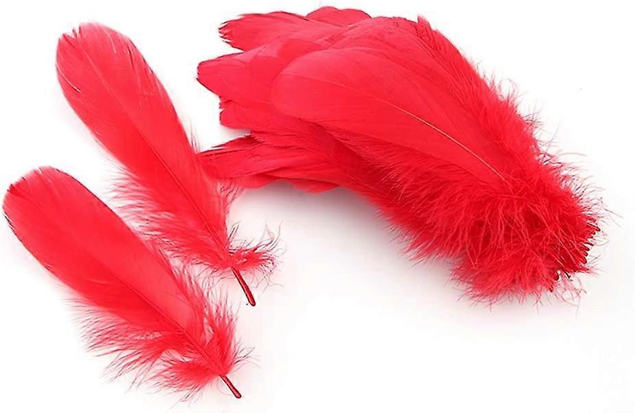 Sowder Plumas de Ganso Natural Accesorios de Ropa Pack de 100 (rojo)