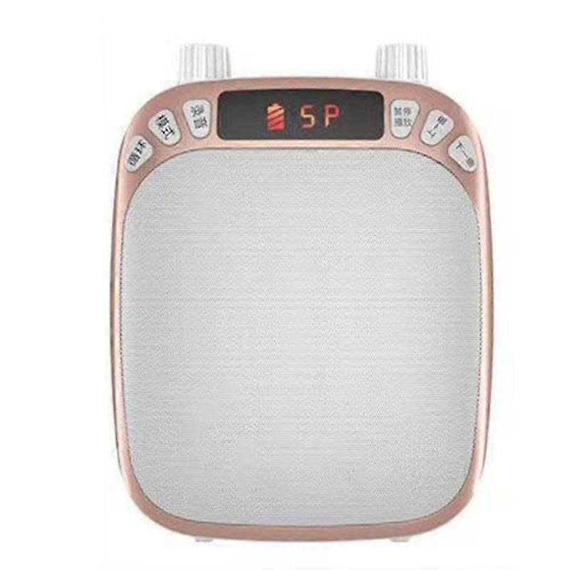 Professional Voice Amplifier for Presentation, Beach Party Outdoor Speech